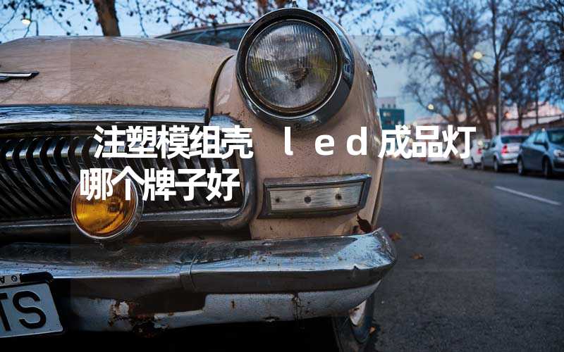 注塑模组壳 led成品灯哪个牌子好